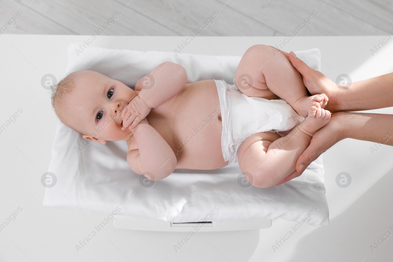 Photo of Pediatrician weighting cute little baby in clinic, closeup