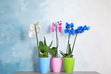 Photo of Beautiful tropical orchid flowers in pots on table near color wall