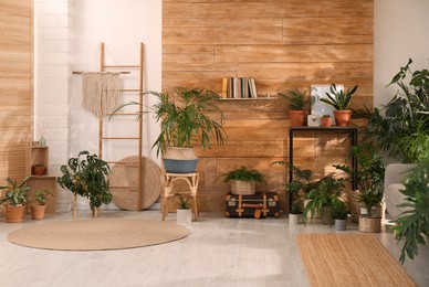 Stylish room with beautiful plants and wooden wall. Interior design