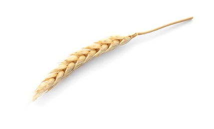 Photo of Spikelet on white background. Healthy grains and cereals