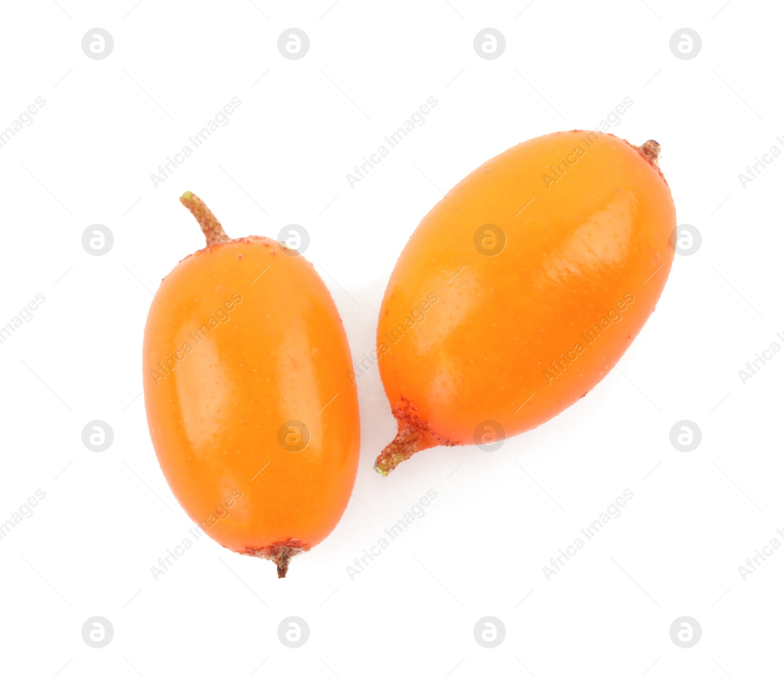 Photo of Fresh ripe sea buckthorn berries on white background, top view