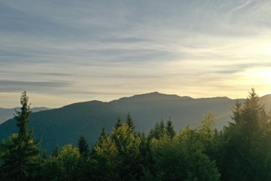 Aerial view of beautiful mountain landscape with green trees at sunrise