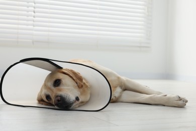 Photo of Sad Labrador Retriever with protective cone collar lying on floor indoors