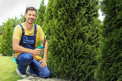 Photo of Man trimming bushes in garden on sunny day