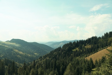 Beautiful landscape with forest and mountain slopes