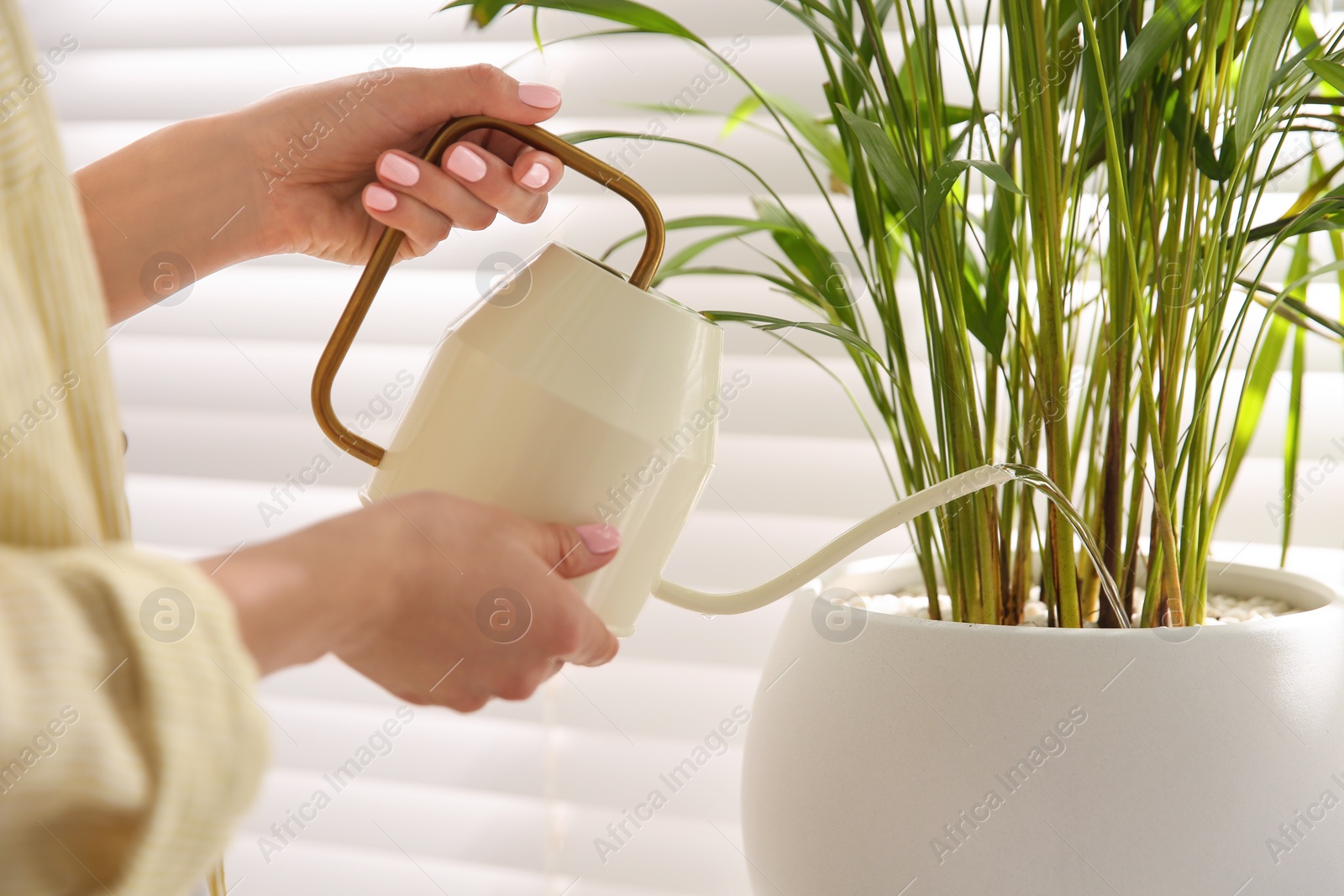 Photo of Woman watering house plant near window indoors, closeup