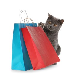 Image of Adorable grey British Shorthair cat and colorful paper shopping bags on white background