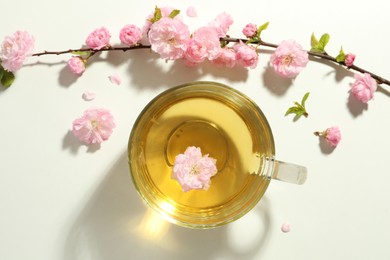 Photo of Glass cup of freshly brewed tea and beautiful flowers on light table, flat lay