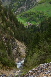 Picturesque view of conifer forest and valley in mountains