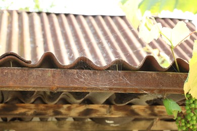 Photo of Cobweb hanging near slate roof on sunny day