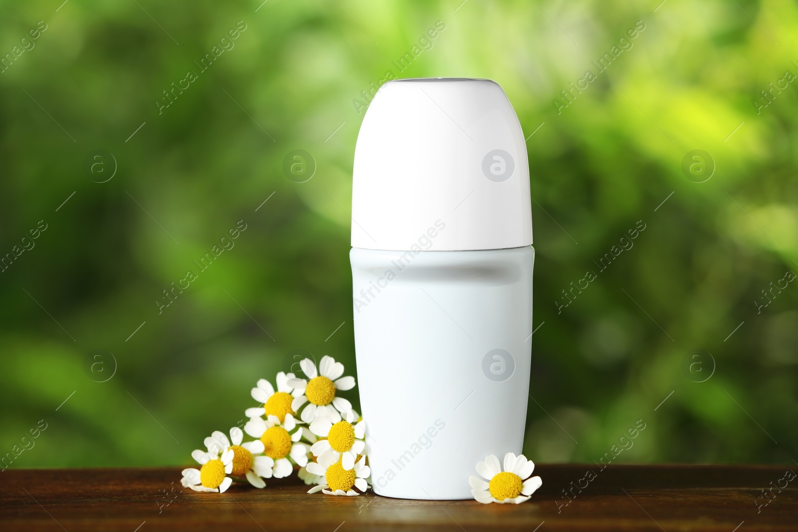 Photo of Natural female roll-on deodorant with chamomile flowers on wooden table against blurred green background