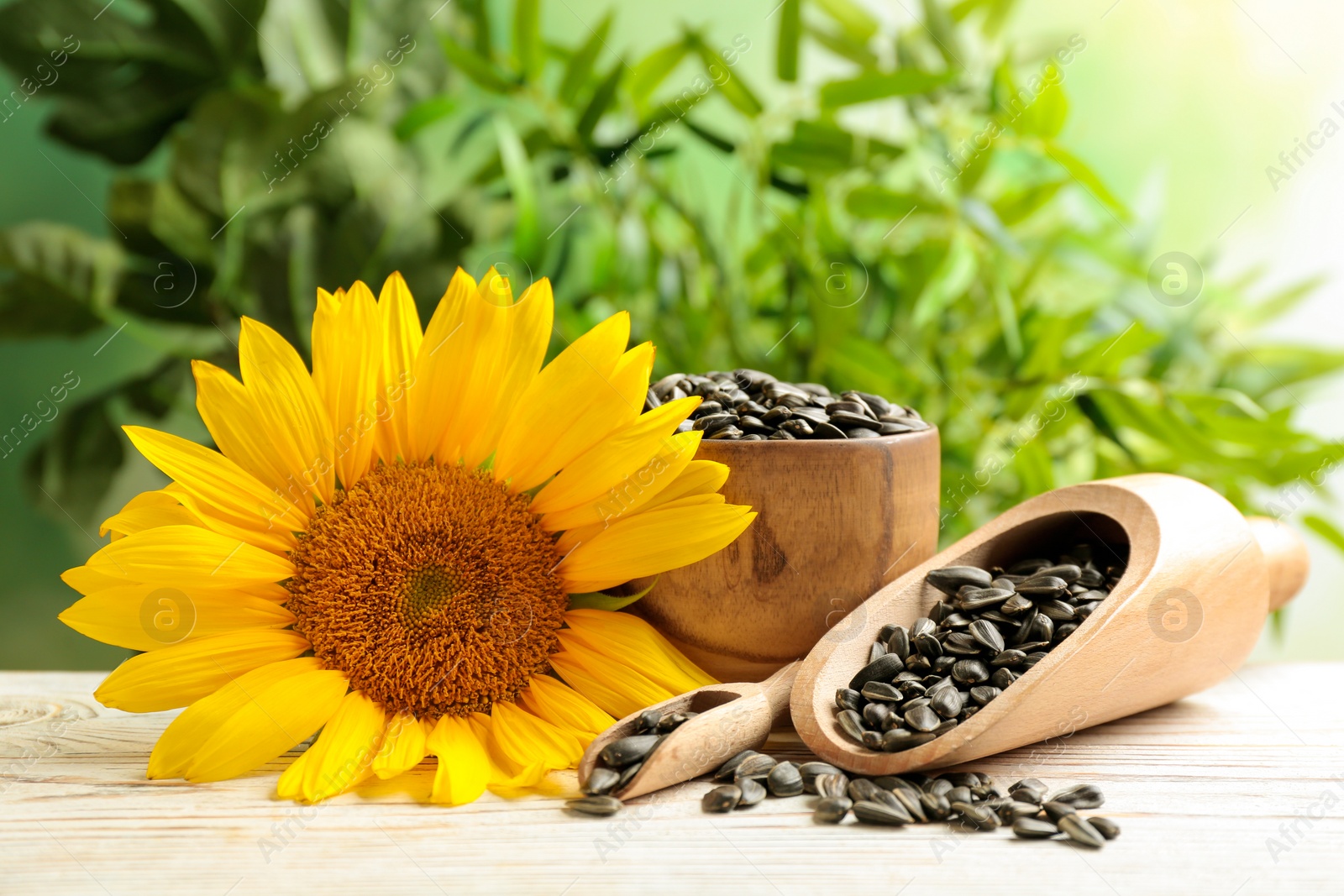 Photo of Composition with sunflower seeds and flower on table