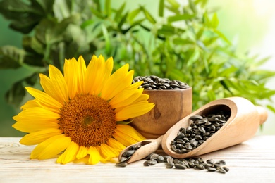 Photo of Composition with sunflower seeds and flower on table