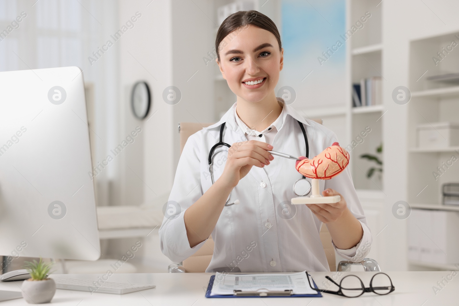 Photo of Gastroenterologist showing human stomach model at table in clinic