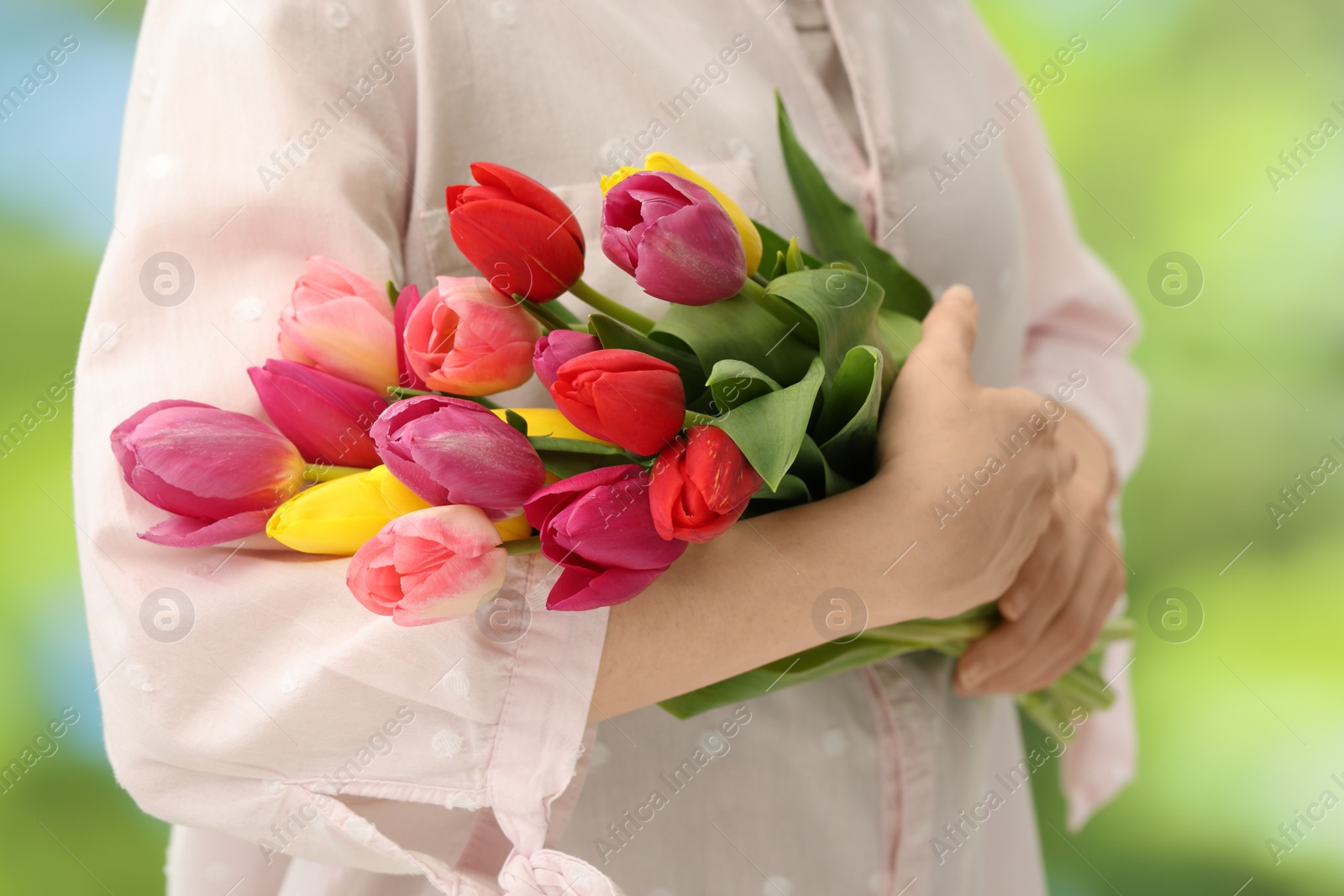 Photo of Woman holding beautiful colorful tulip flowers on blurred background, closeup