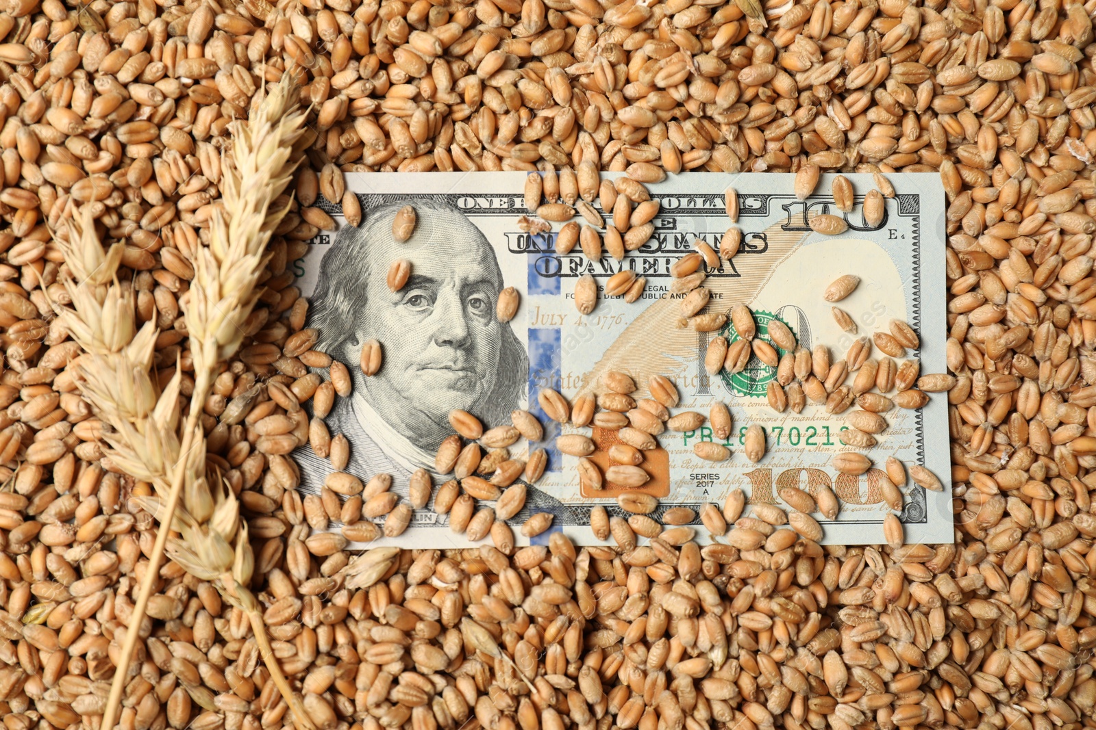 Photo of Dollar banknote and wheat ears on grains, top view. Agricultural business