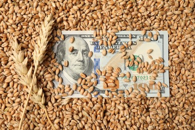 Dollar banknote and wheat ears on grains, top view. Agricultural business