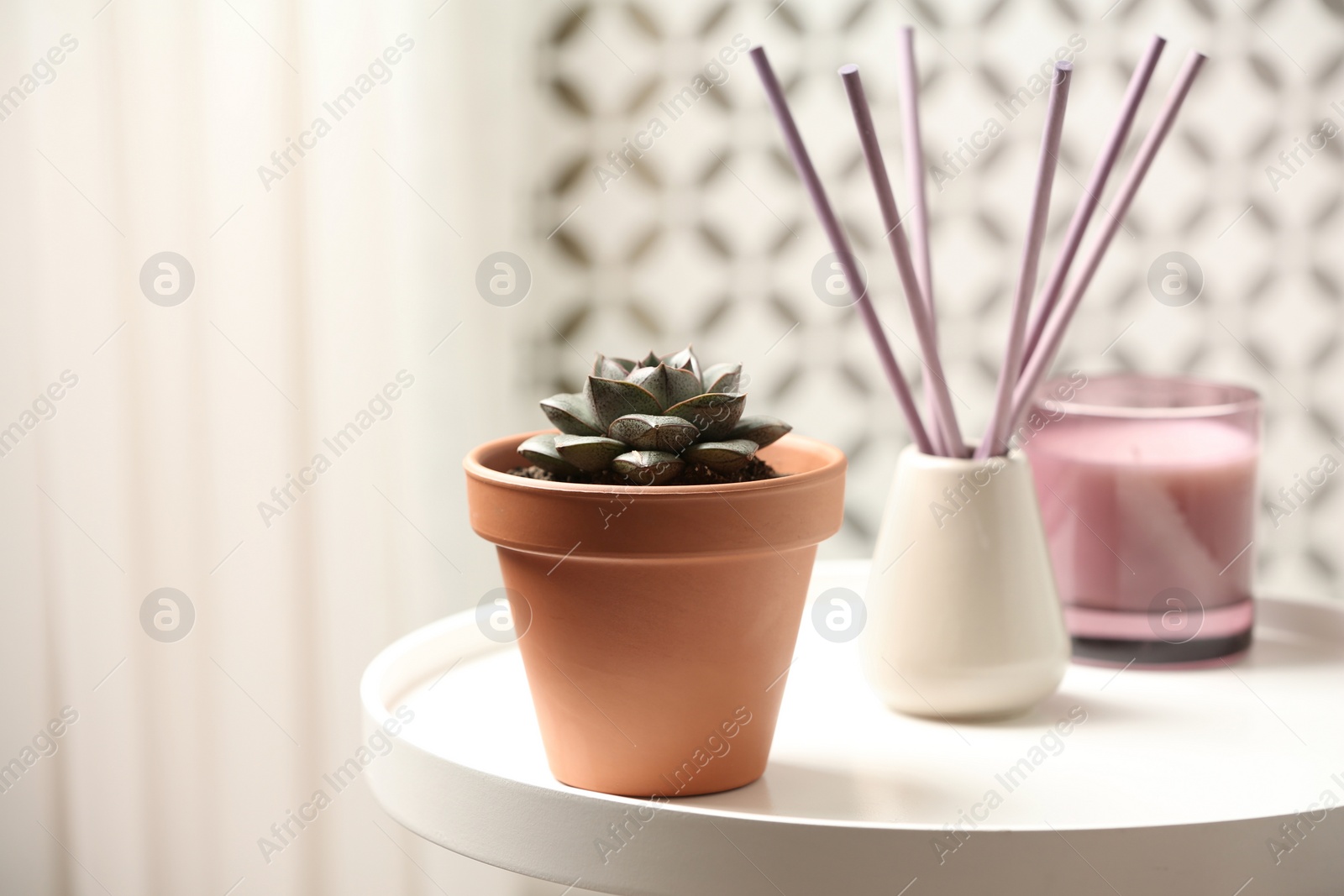 Photo of Beautiful Echeveria plant on white table at home