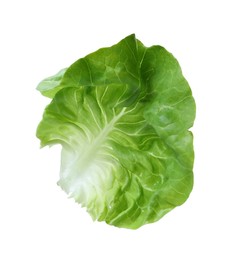Photo of Fresh green butter lettuce leaf isolated on white