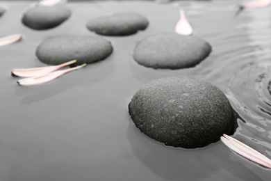 Photo of Spa stones and pink flower petals in water, closeup. Zen lifestyle