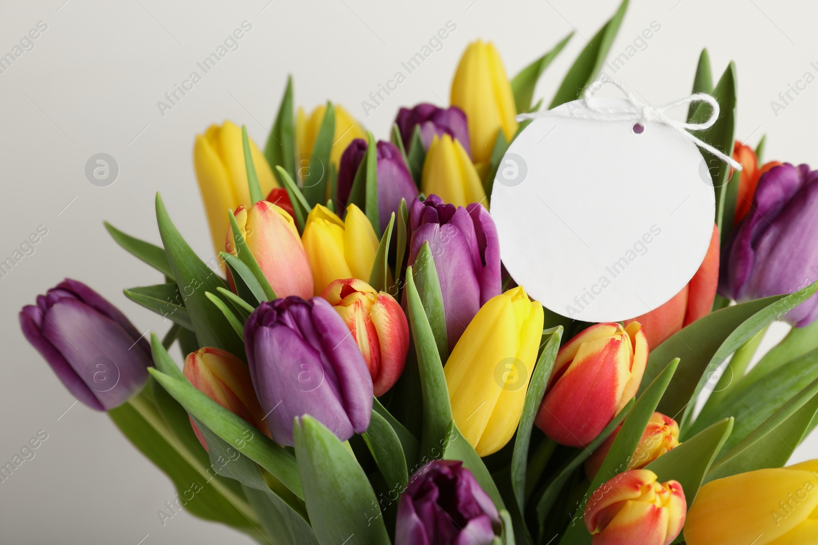 Photo of Bouquet of colorful tulips with blank card on white background, closeup