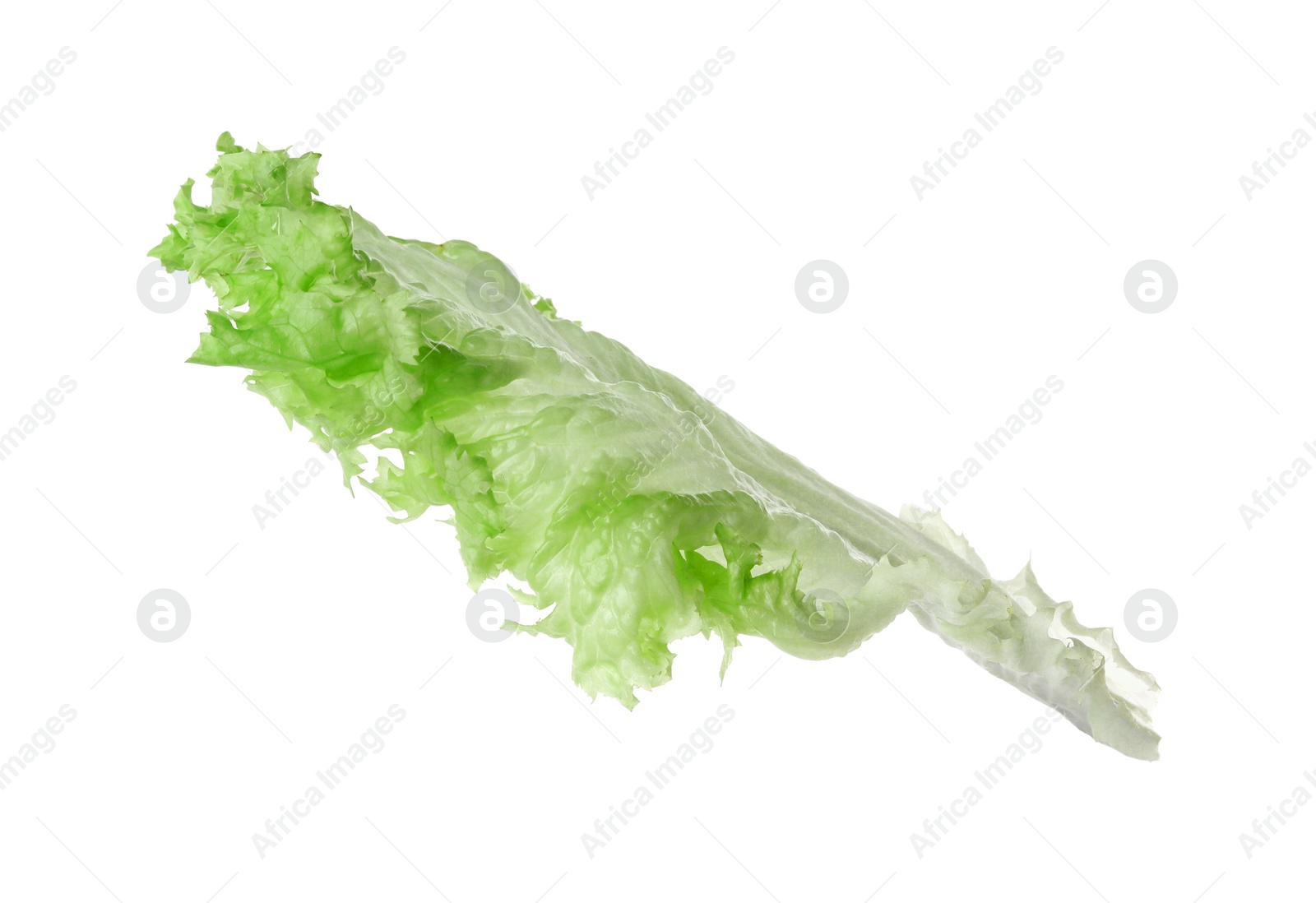 Photo of Fresh green lettuce leaf isolated on white