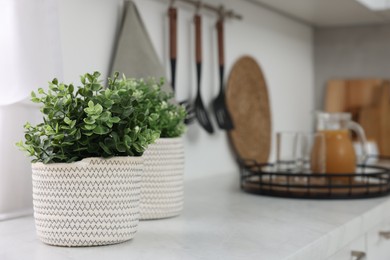 Photo of Different potted artificial plants on countertop in kitchen, space for text. Home decor