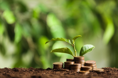 Photo of Coins and green sprout on soil against blurred background, space for text. Money savings