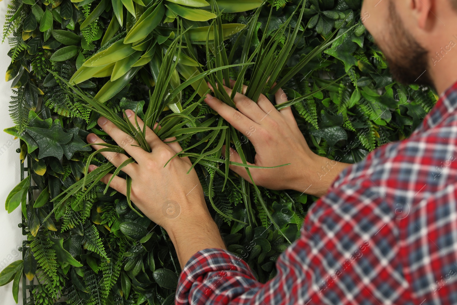 Photo of Man installing green artificial plant wall panel, closeup