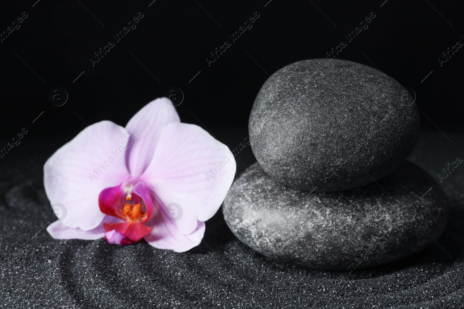 Photo of Spa stones and orchid flower on black sand with beautiful pattern. Zen concept