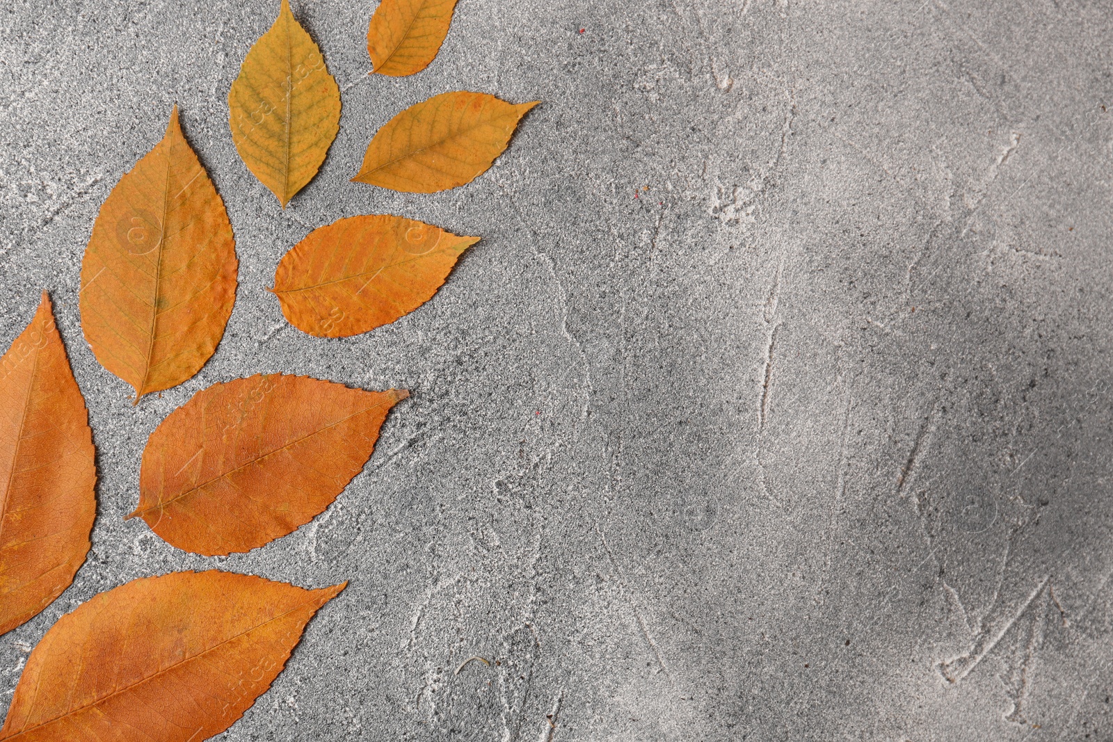 Photo of Flat lay composition of beautiful orange leaves on grey textured table. Space for text