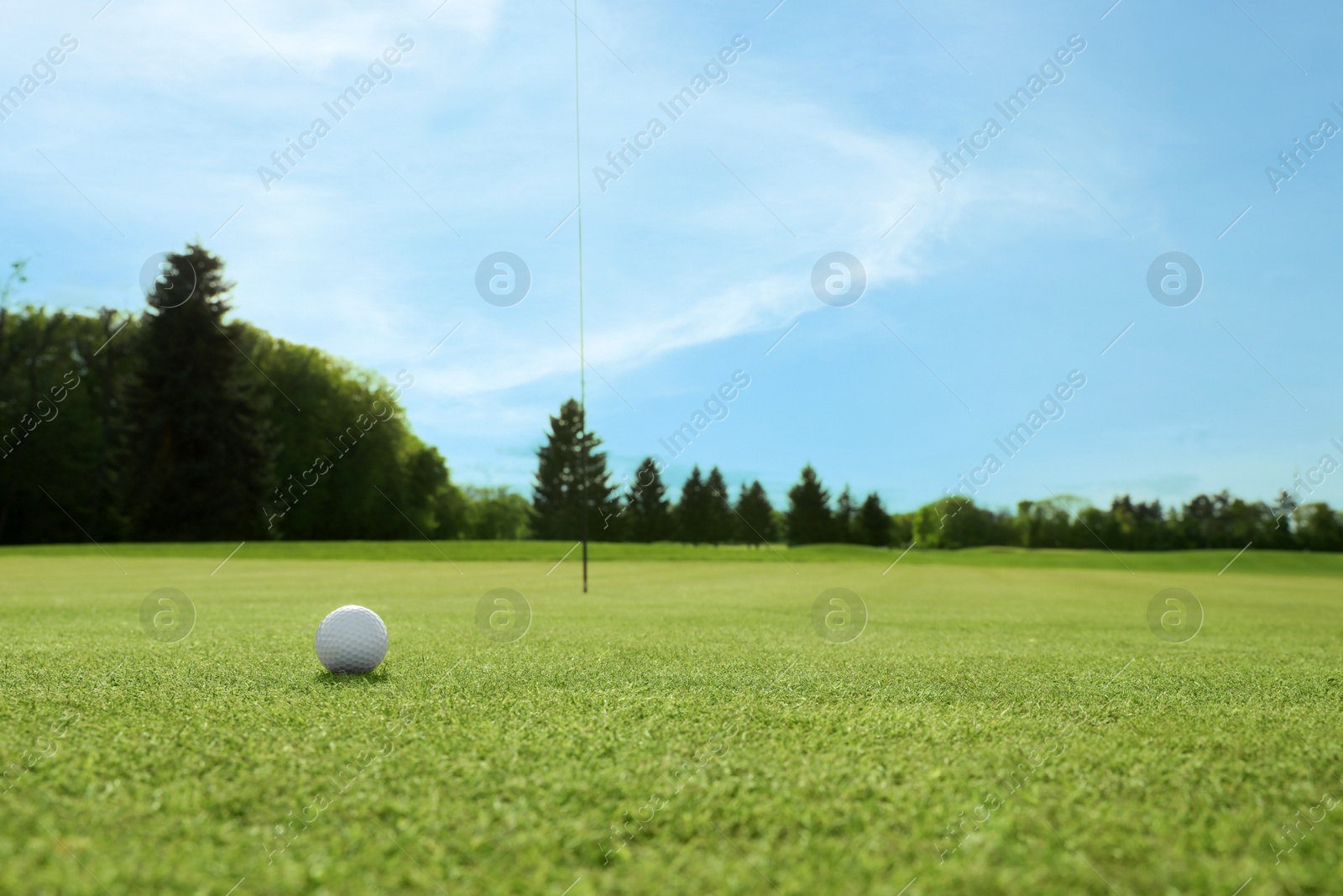 Photo of Golf ball on green course, space for text