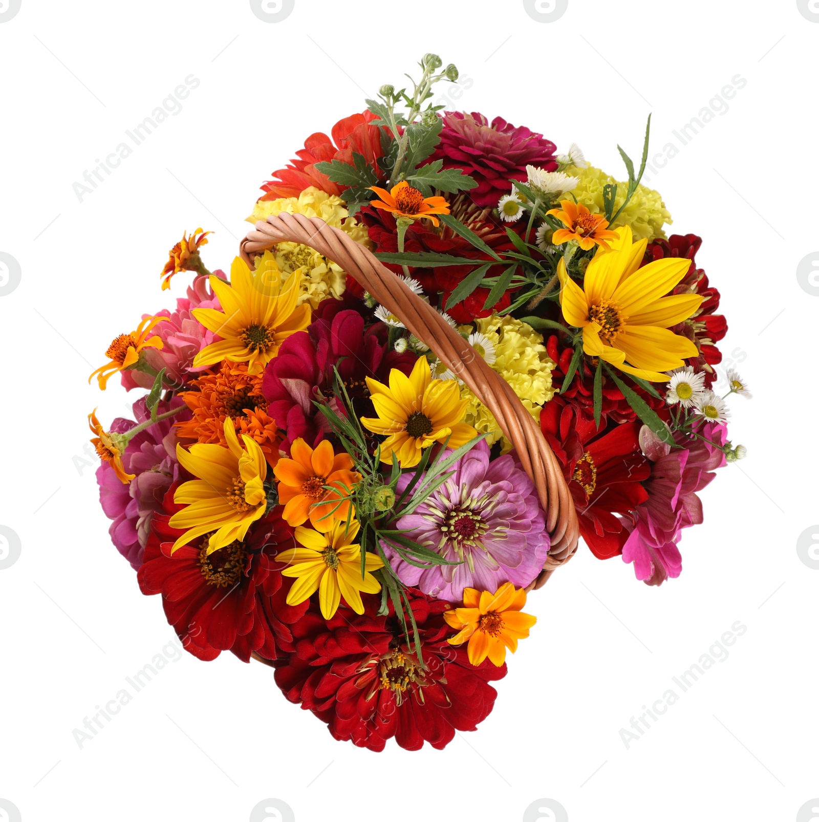 Photo of Beautiful wild flowers in wicker basket isolated on white, top view