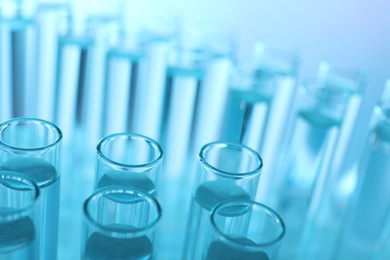 Photo of Many glass test tubes on light blue background, closeup