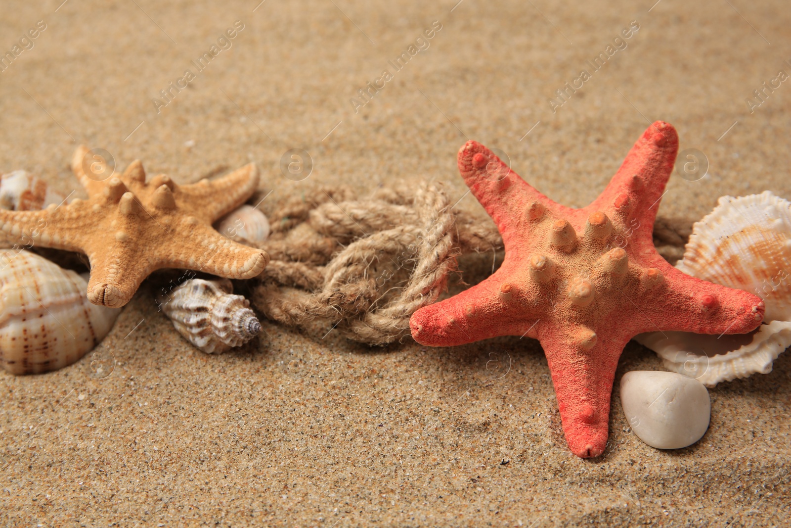 Photo of Beautiful sea stars, shells and ropes on sand, closeup