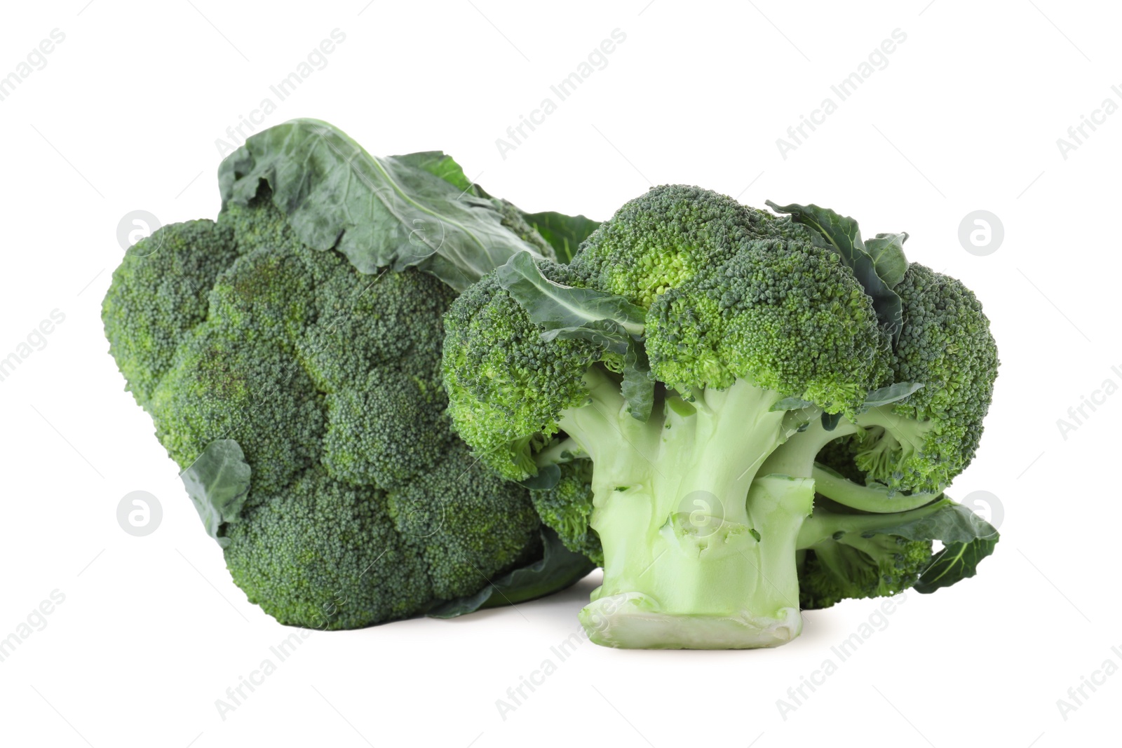 Photo of Fresh green broccoli isolated on white. Organic food