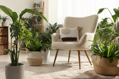 Photo of Relaxing atmosphere. Many different potted houseplants around stylish armchair in room