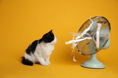 Cute fluffy cat enjoying air flow from fan on yellow background. Summer heat