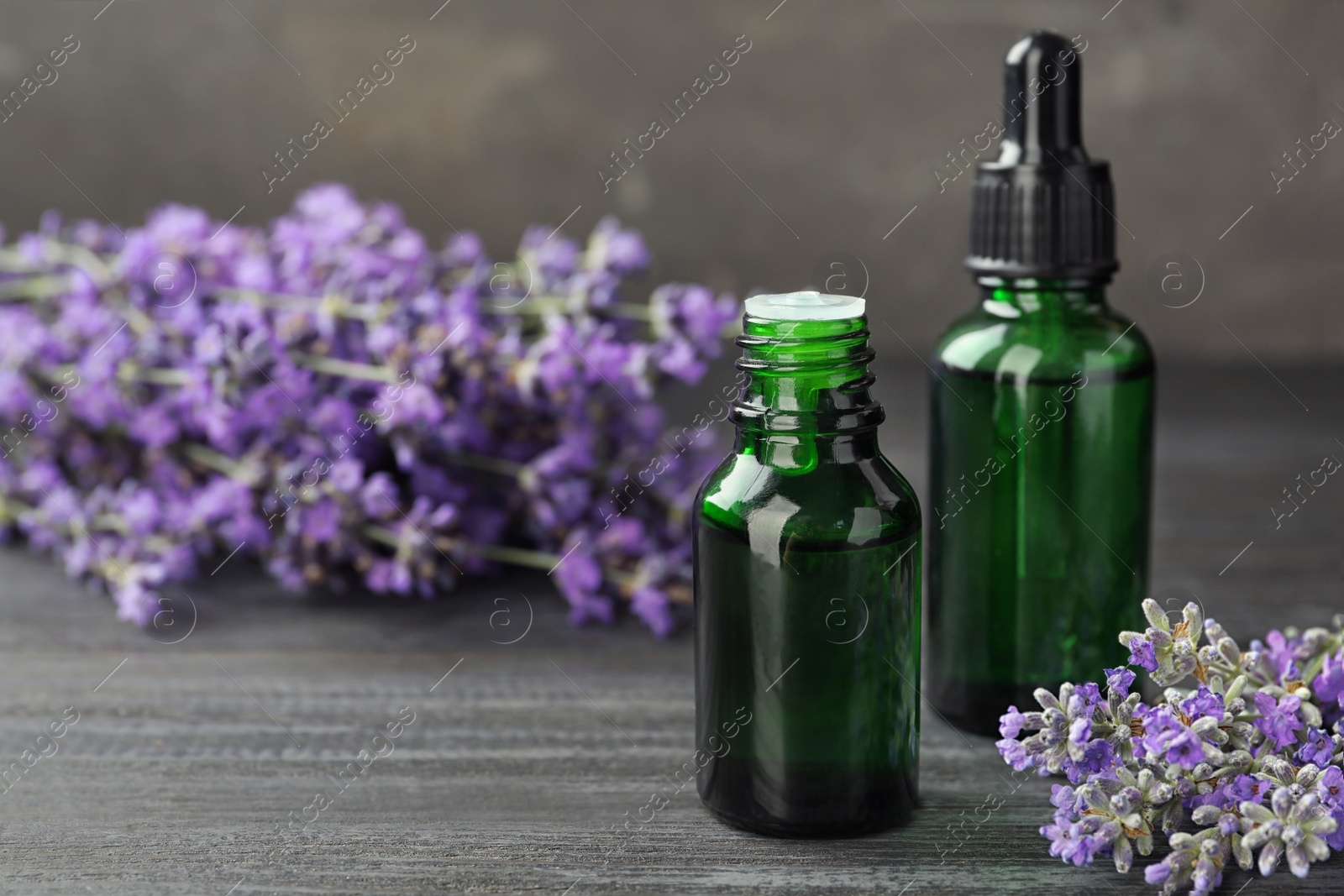 Photo of Bottles with natural lavender oil and flowers on wooden table against grey background, closeup view. Space for text