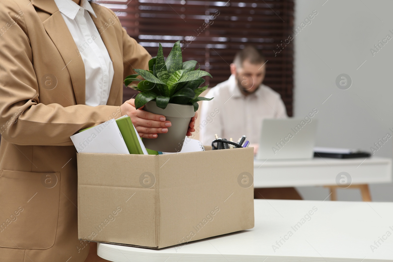 Photo of Dismissed woman packing personal stuff into box in office, closeup