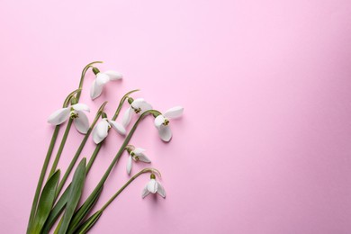 Photo of Beautiful snowdrops on pink background, flat lay. Space for text