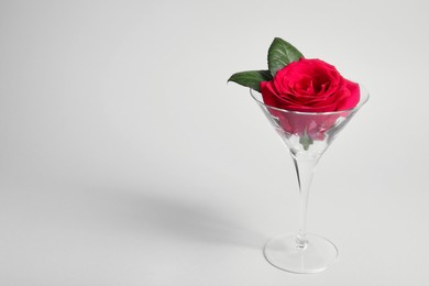Martini glass with beautiful rose on white background. Space for text