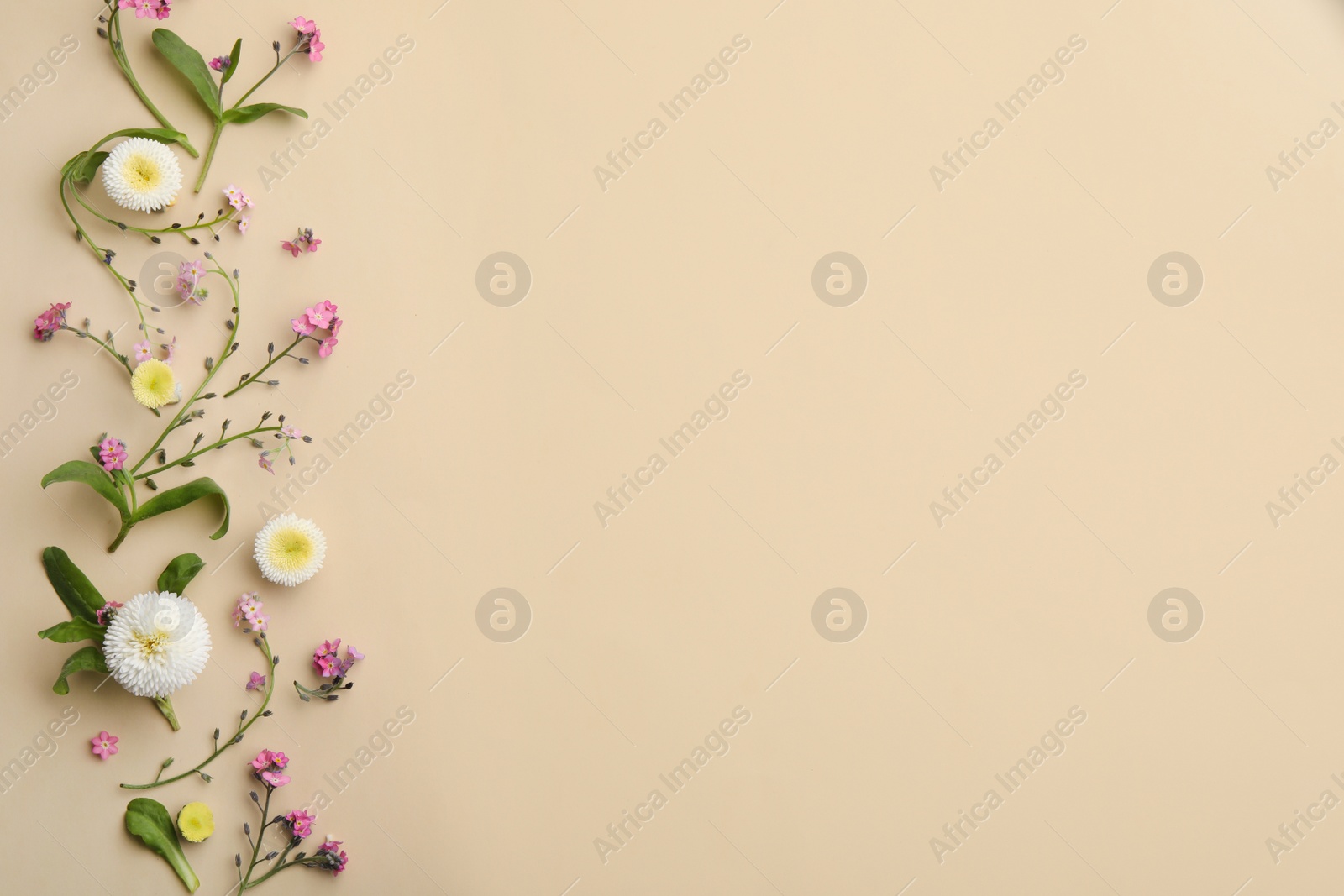 Photo of Beautiful composition with forget-me-not flowers on beige background, flat lay. Space for text