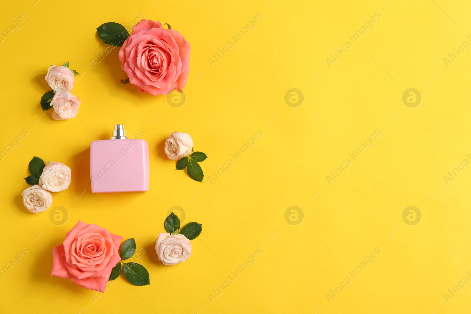 Photo of Flat lay composition with bottle of perfume and roses on color background, space for text
