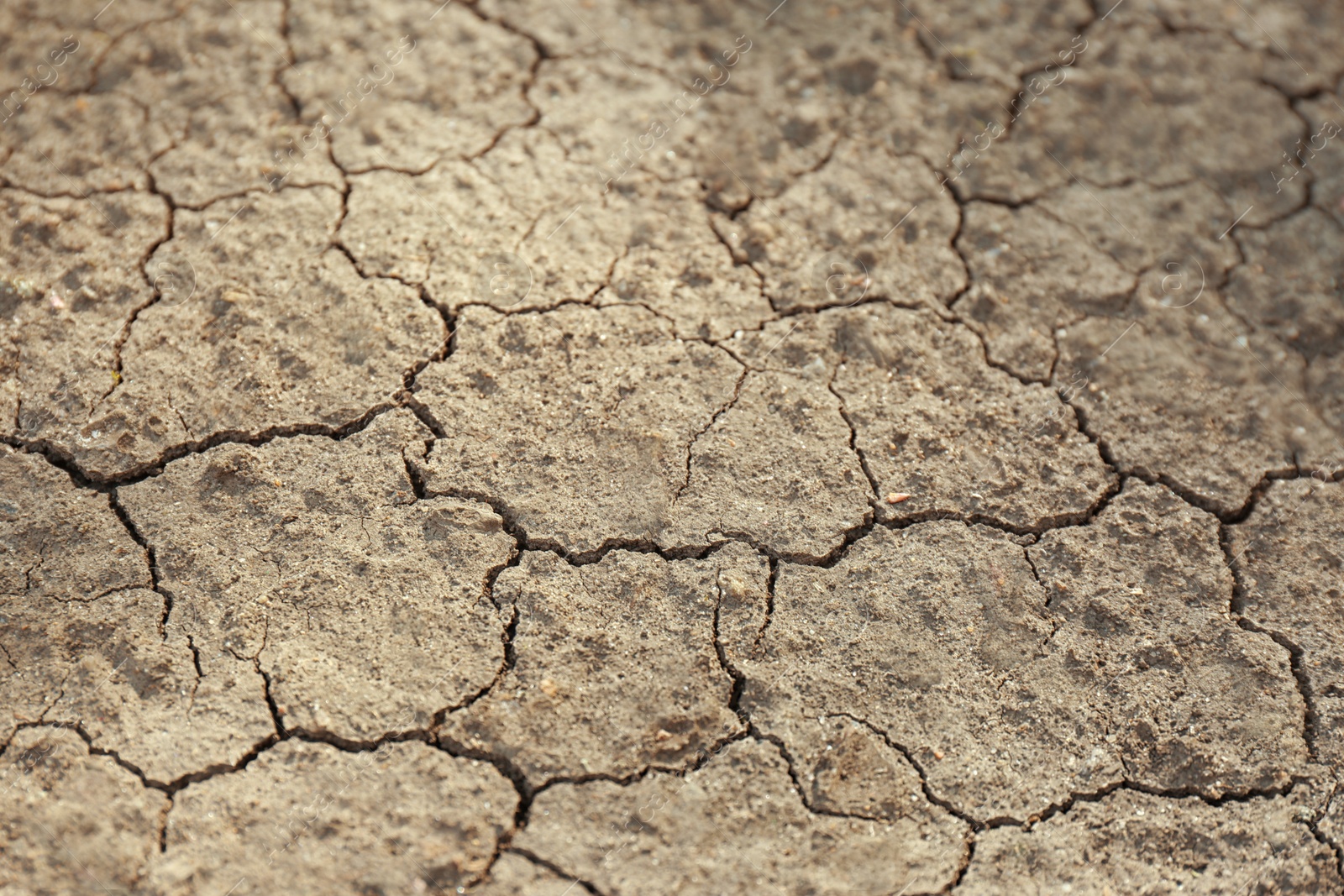 Photo of Dry textured ground surface as background, closeup. Thirsty soil