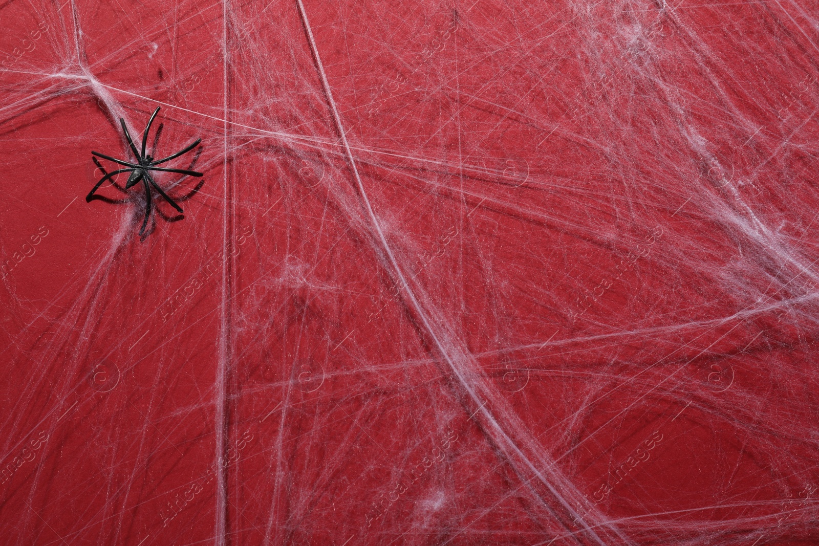 Photo of Cobweb and spider on red background, top view