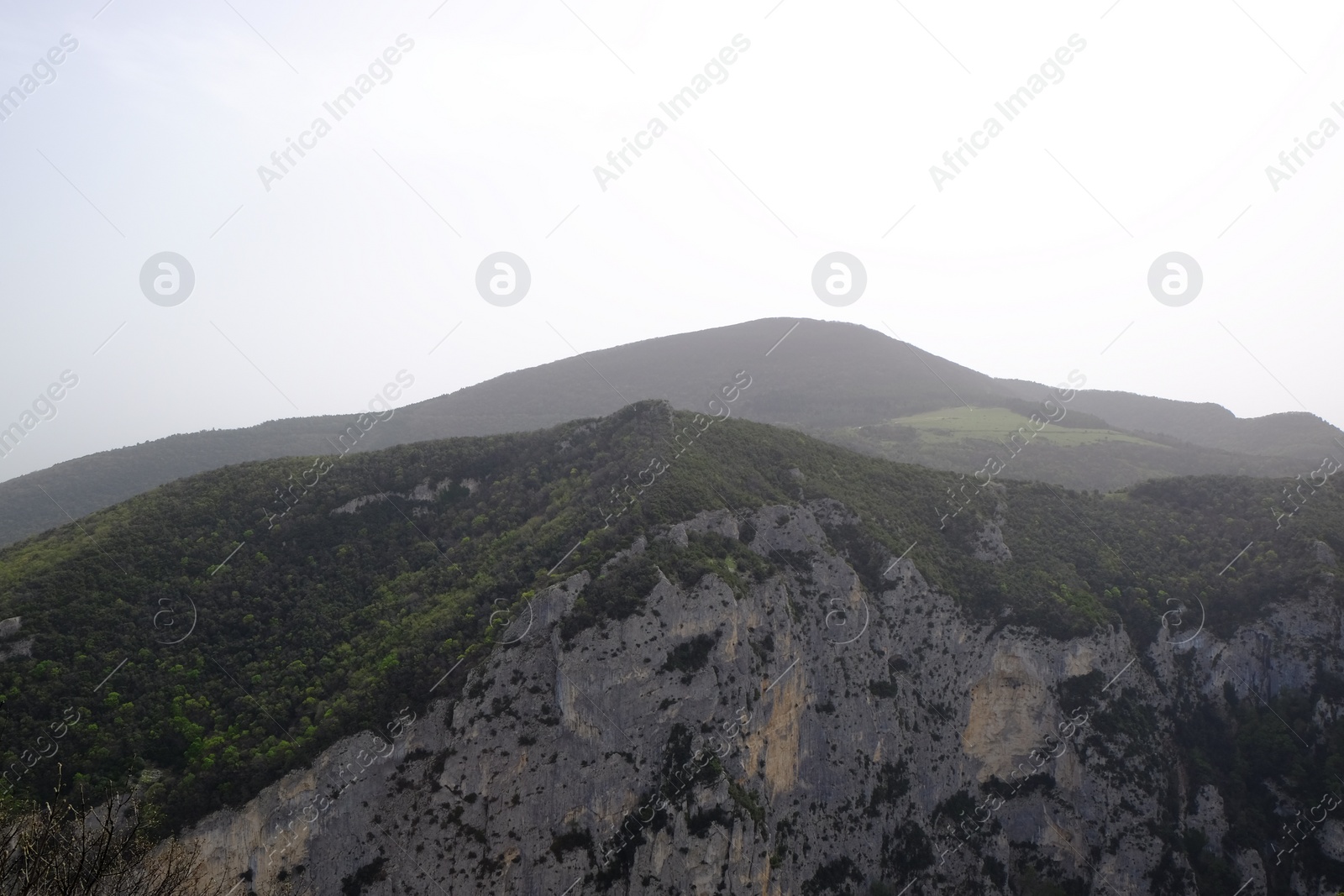 Photo of Picturesque view of green forest in mountains