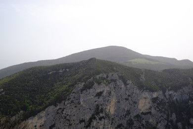 Picturesque view of green forest in mountains