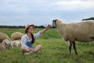 Smiling woman with sheep on pasture at farm