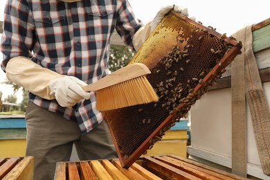 Photo of Beekeeper brushing bees from hive frame at apiary, closeup. Harvesting honey